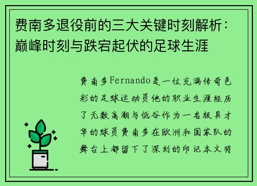 费南多退役前的三大关键时刻解析：巅峰时刻与跌宕起伏的足球生涯