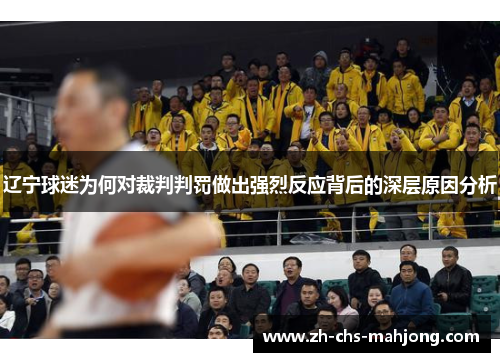 辽宁球迷为何对裁判判罚做出强烈反应背后的深层原因分析